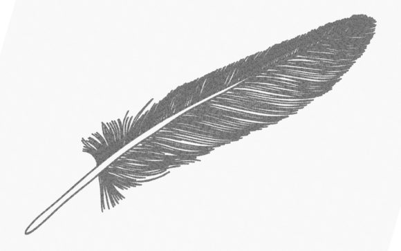 Feather One Line: Simple, Chic, and Surprisingly Versatile