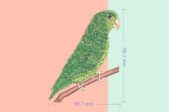 Professional Review: Forpus Green Cute Bird for Business Merchandise